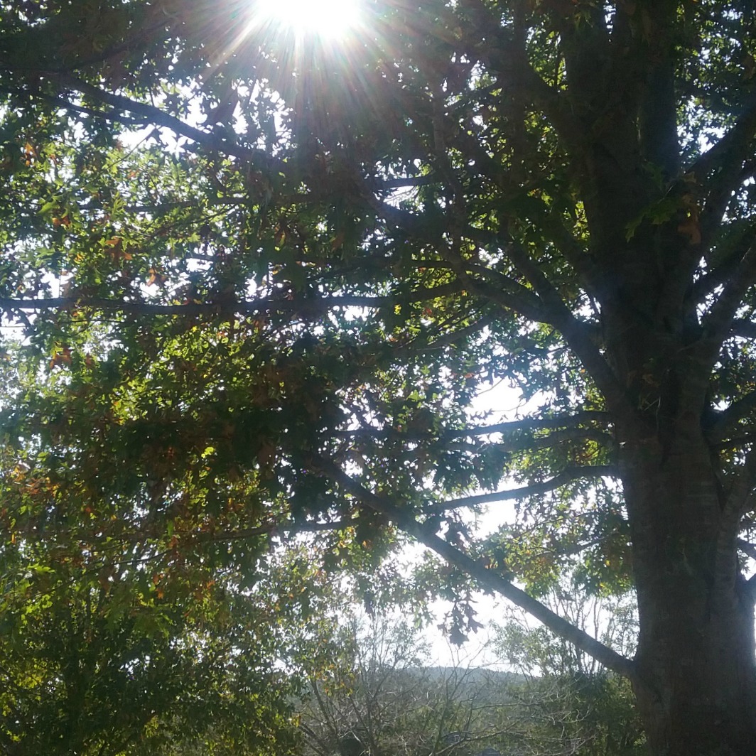 breathing a moment of joy and&nbsp;peace…