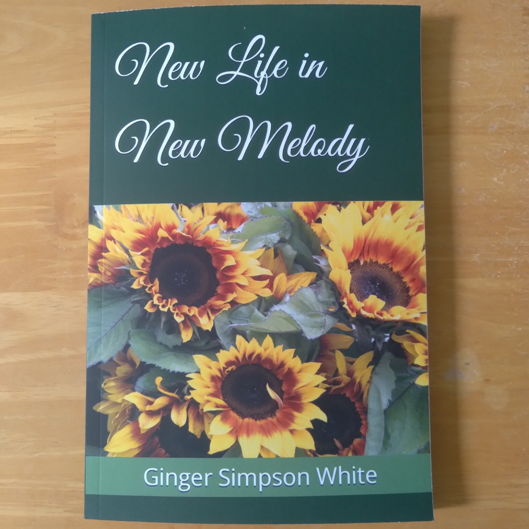 my new novel is&nbsp;here…