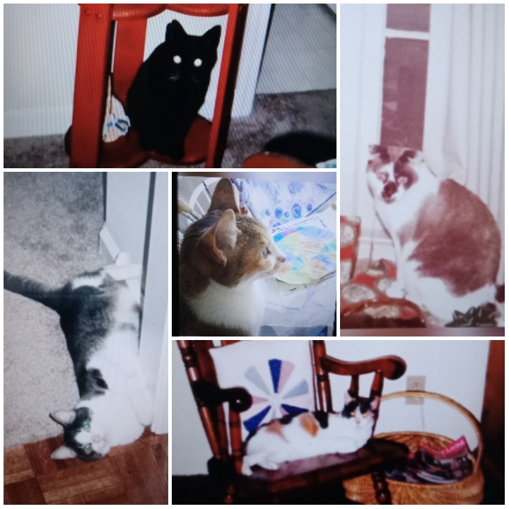 how a digital frame is helping my&nbsp;grief…