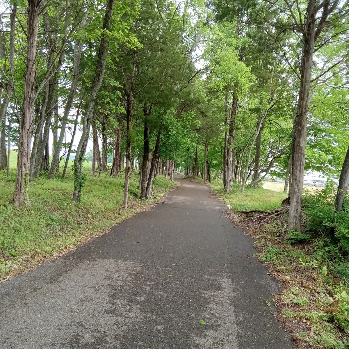 writing on the&nbsp;journey…